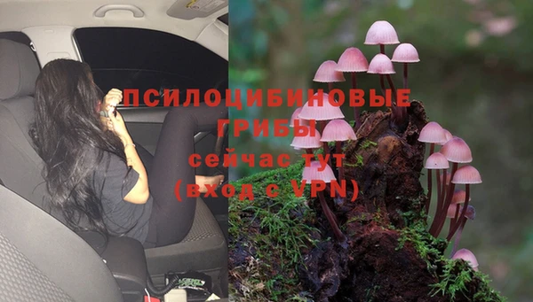 ALPHA PVP Алексин