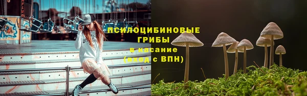 ALPHA PVP Алексин