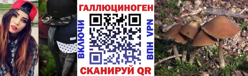 Псилоцибиновые грибы Cubensis  кракен   Жуковский 