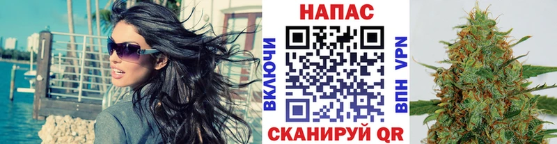 Бошки Шишки конопля Жуковский